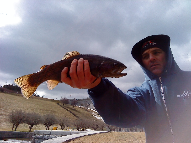 Rainbows at the dam near Clinton