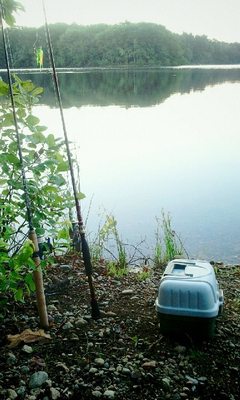 The resevoir at 5am