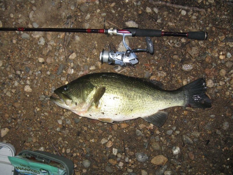 Larry the Sudbury Lunker