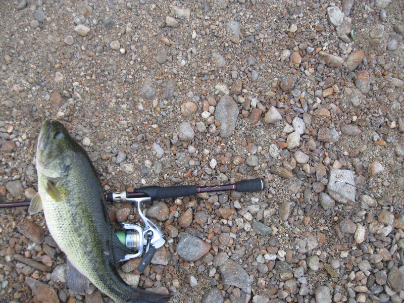 2lbs 10oz on the Sudbury Reservoir 5/26/12