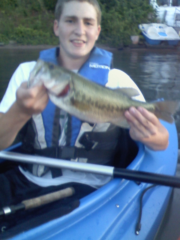 largemouth bass