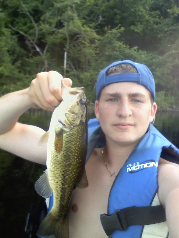 largemouth bass