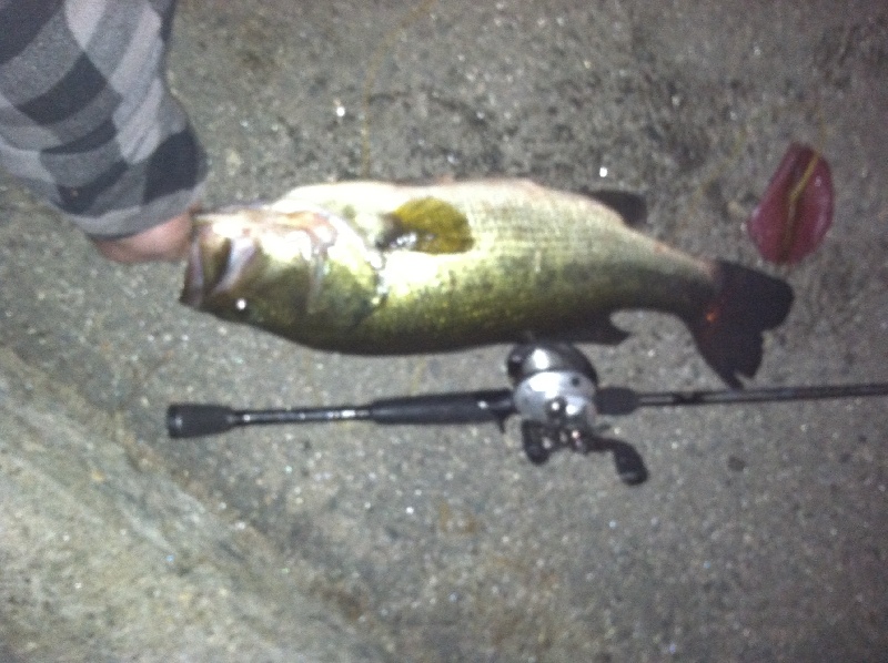 5 lb on a grub????