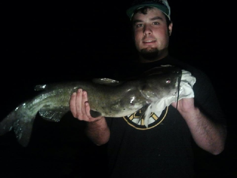 catfishin