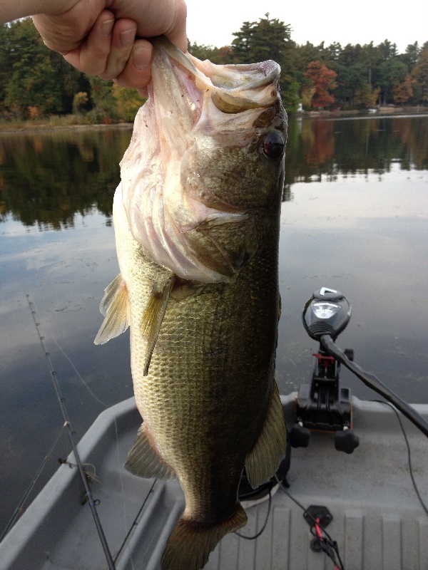 Westford fishing photo 0