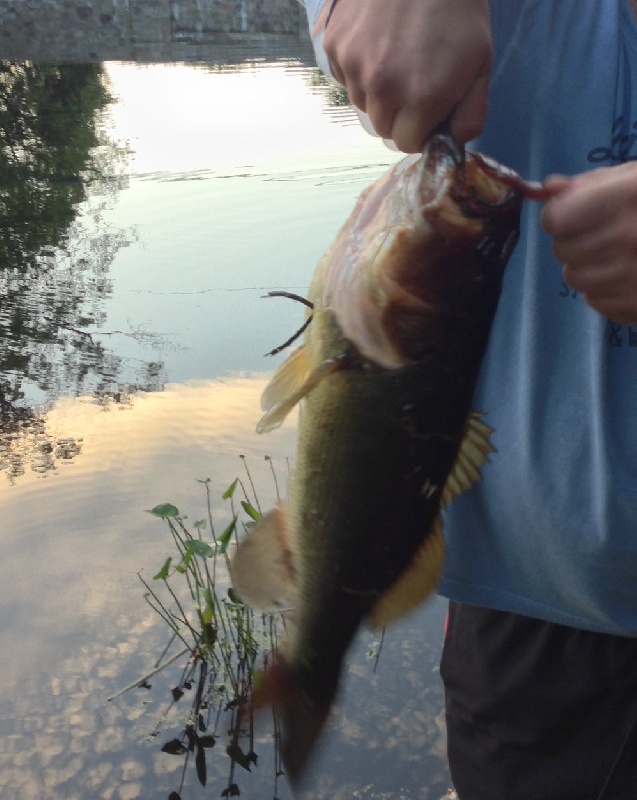Lunker #2