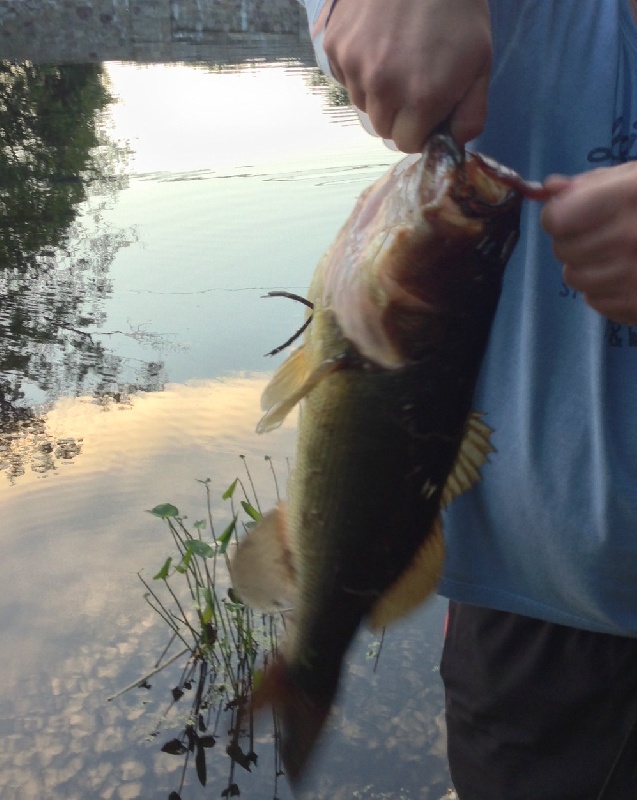 Lunker #2