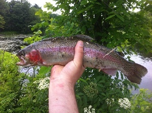 First Rainbow & Only Since