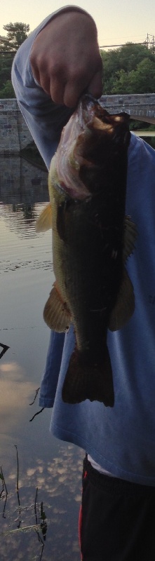 Lunker #2 pic 2