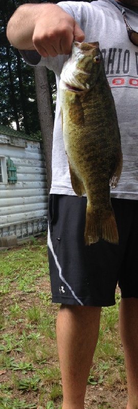 Lunker #3 NH SMB