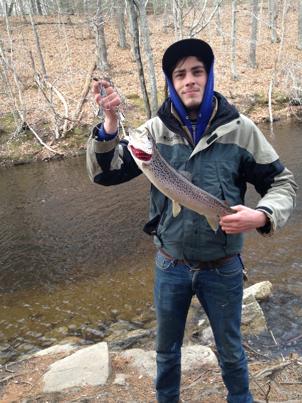 First Pin Fish