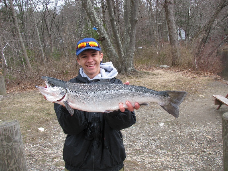 8lb salmon forest lake 