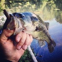 Sudbury Reservoir Fishing Report