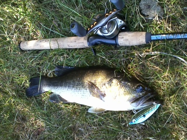 Holbrook fishing photo 2