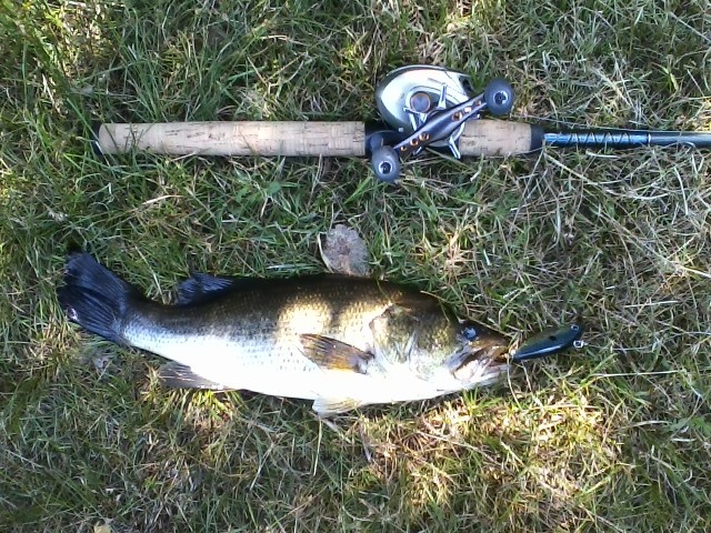 Holbrook fishing photo 3