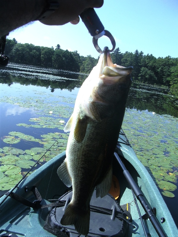 My 2nd Bass near Foxborough