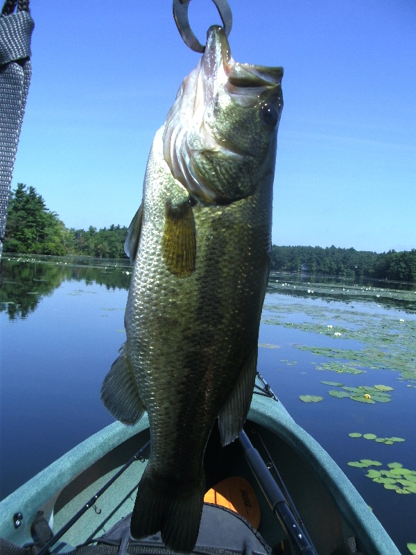 Foxborough fishing photo 3