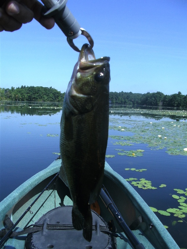 Foxborough fishing photo 2