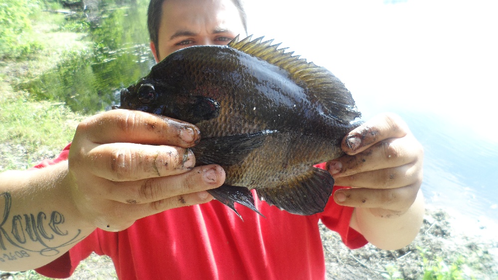 New Bedford fishing photo 4