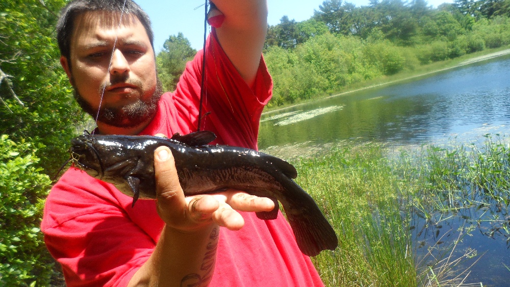 New Bedford fishing photo 1