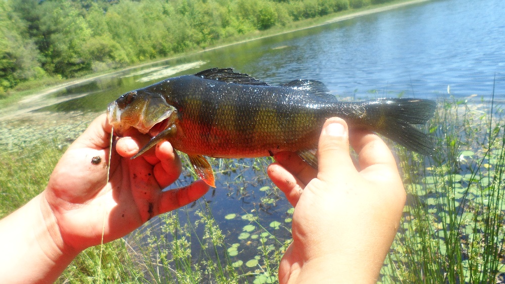 Fishing near Fairhaven in Bristol County, Massachusetts - MA Fish