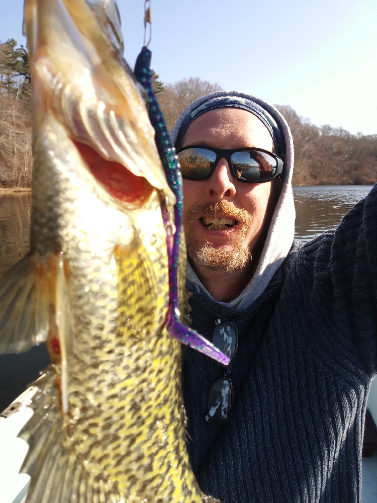 Black Crappie