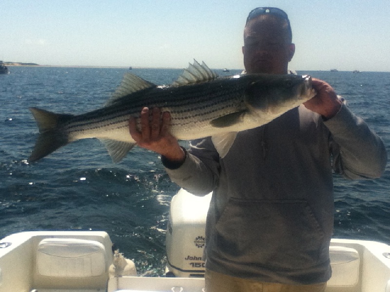 Provincetown fishing photo 3