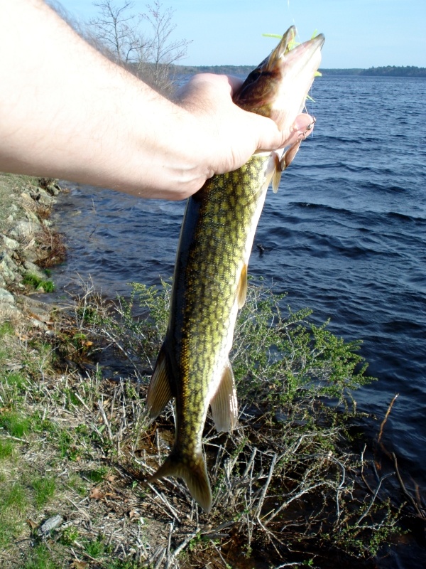 Great Quitticas Pond