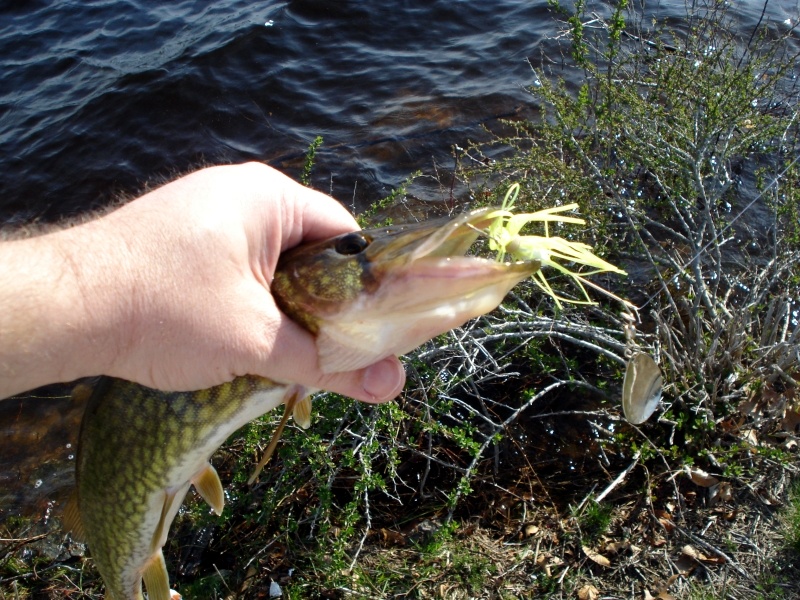 first fish of 2010!