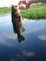 7-24-2010 Snipatuit Pond Fishing Report