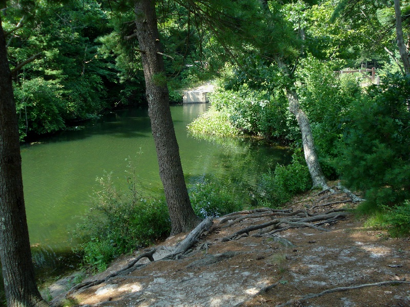 Big Bear Hole Pond