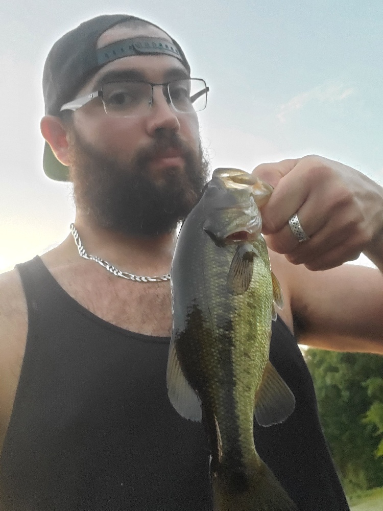 Not a terrible fish