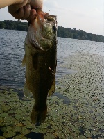 First trip to Nutting Lake