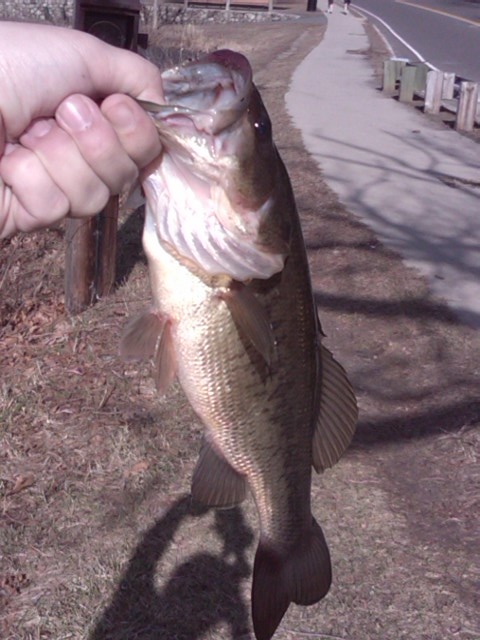 my 1st fish of 2011