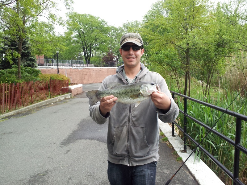 nyc bass