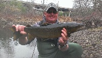 Wachusett Salmon & Trout Fishing Report