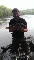 Concord River Carp in the Rain