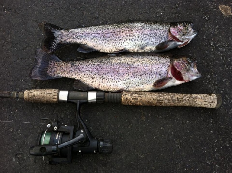 Easter Rainbows