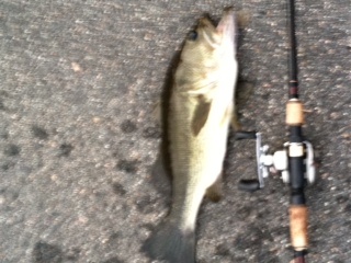 4lb on jig near Lynn