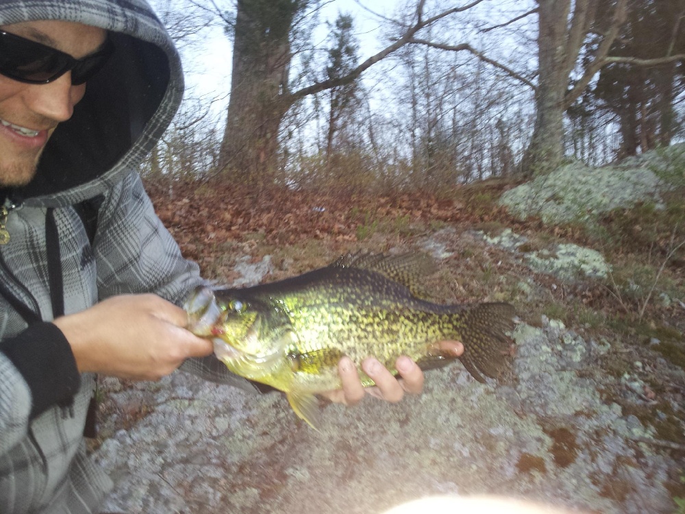 Crappie