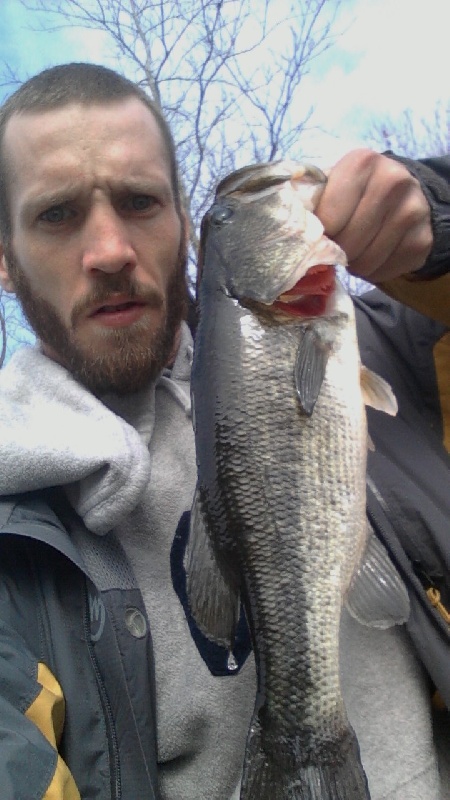 -0-o- Bass 
