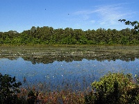 Big Sandy Pond