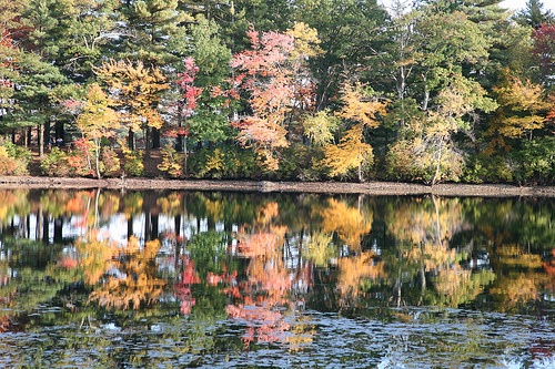 Neponset Reservoir Depth Chart