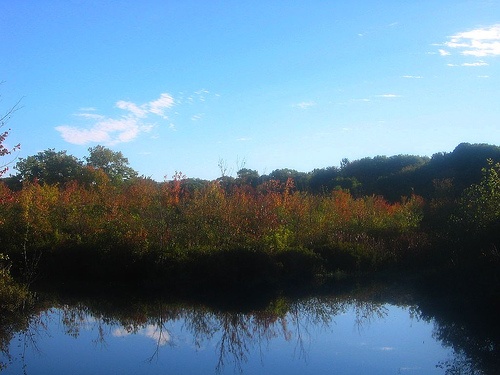 Bungay River 