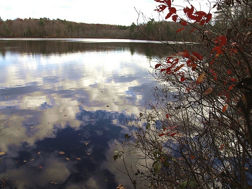 Chebacco Lake 