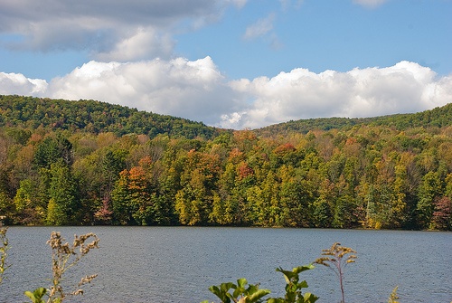 Cheshire Reservoir Depth Chart