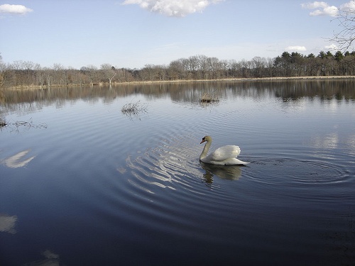 Cutler Lake 