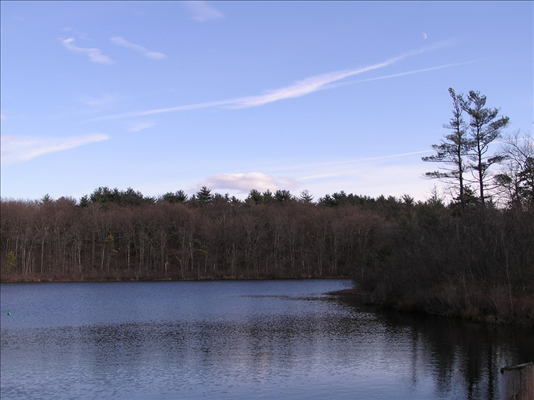 Turtle Pond 