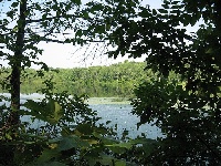 Dean Pond