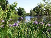 Mattapoisett River